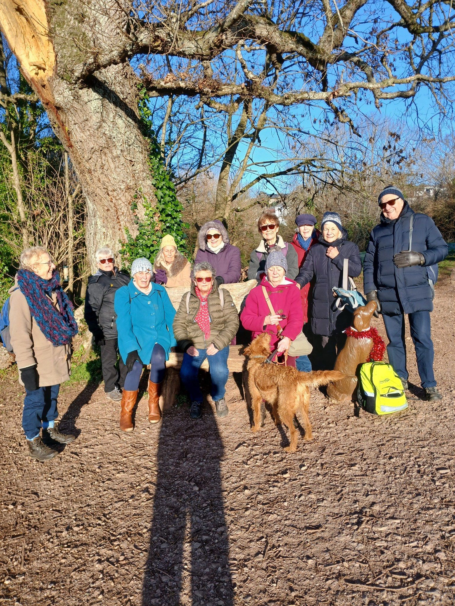 photo of Teignmouth Walkers Grade 2-3