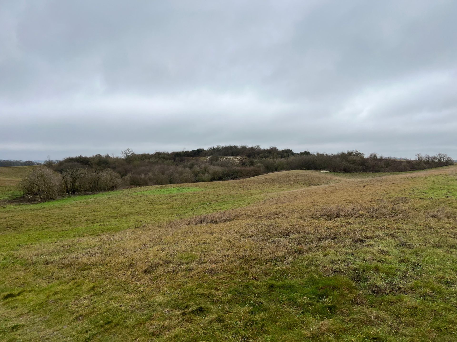 Chalk downs and a former quarry