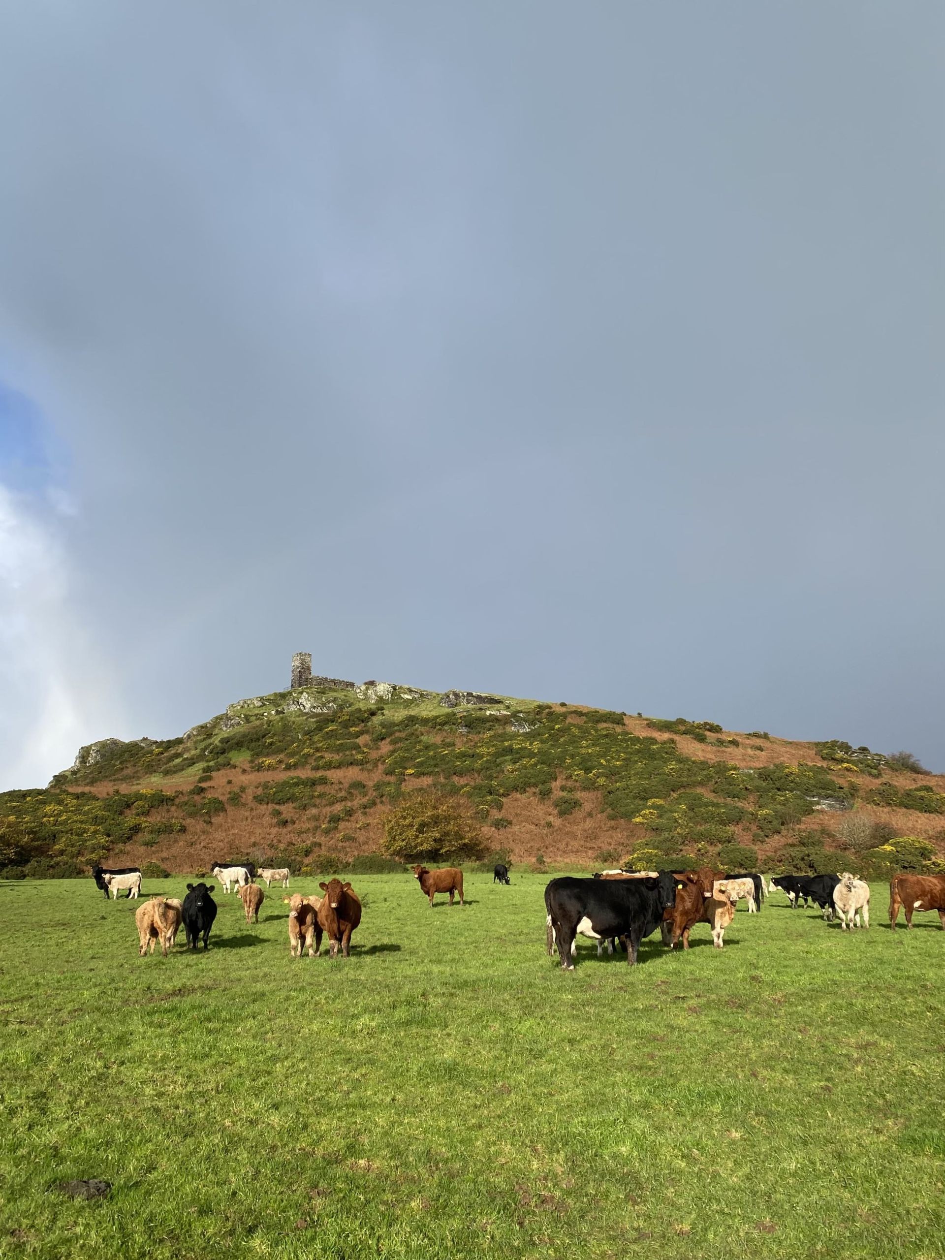 Brentor church