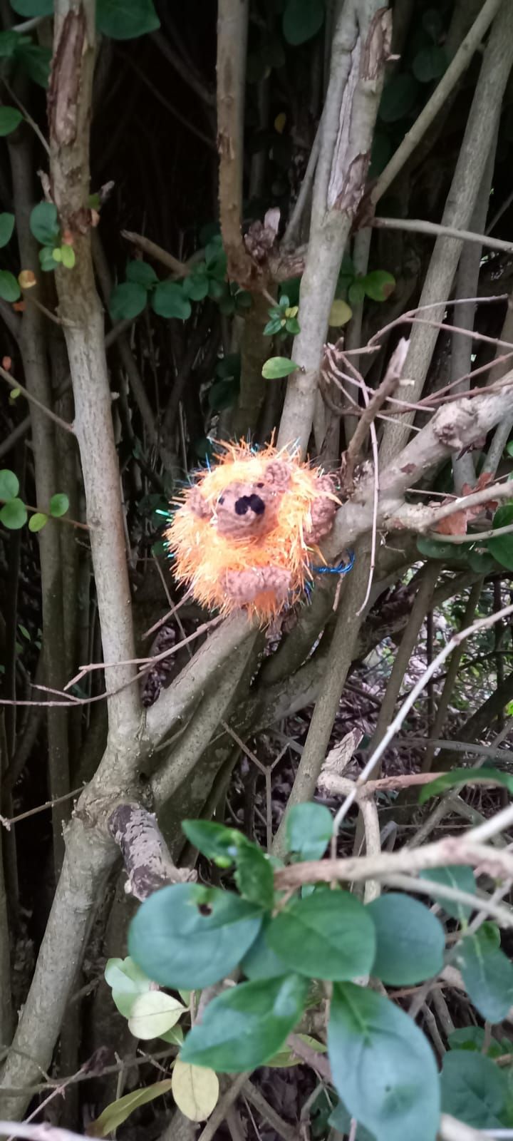 Soft toy caterpillar seen on walk