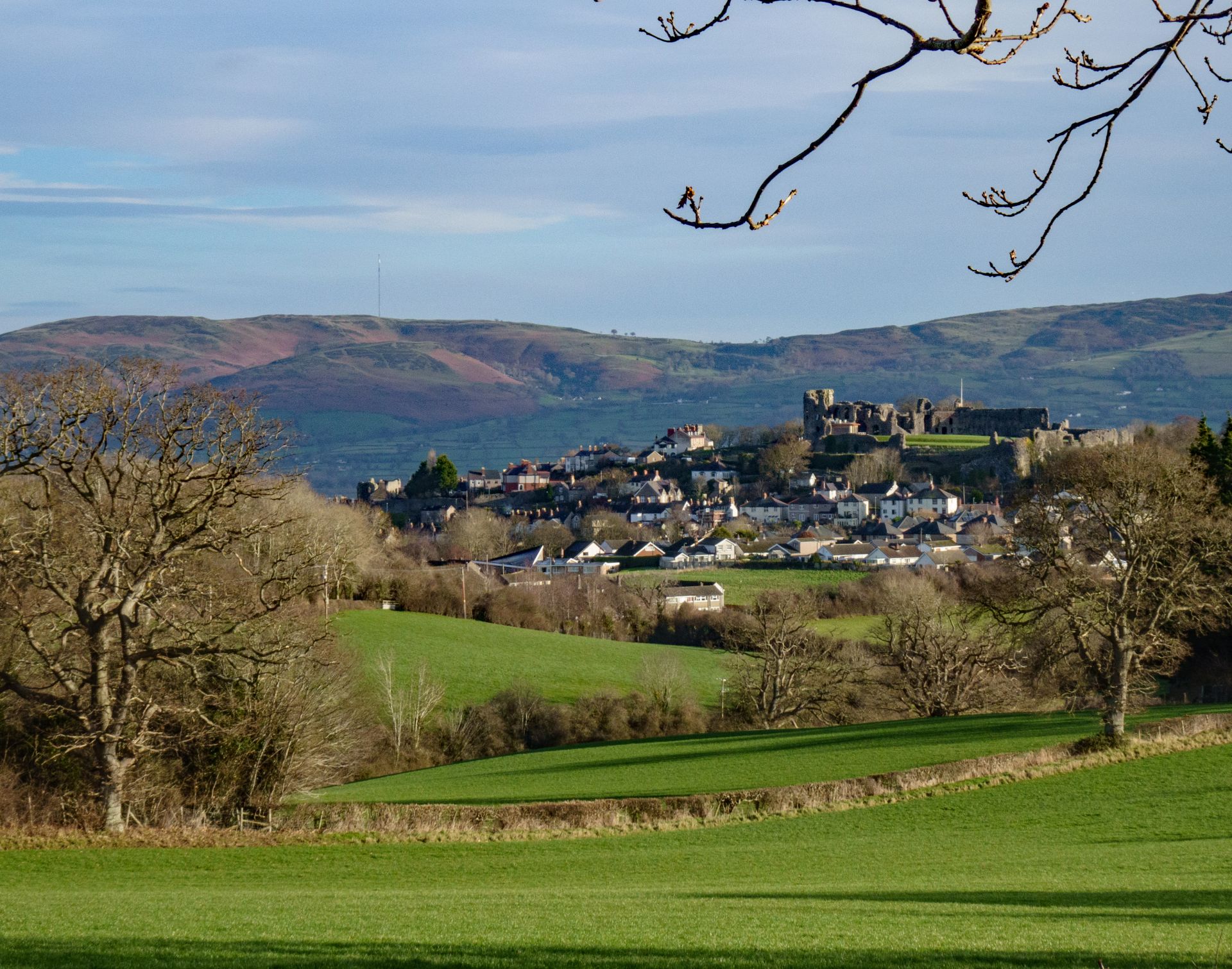 Distant view of Denbigh Castle