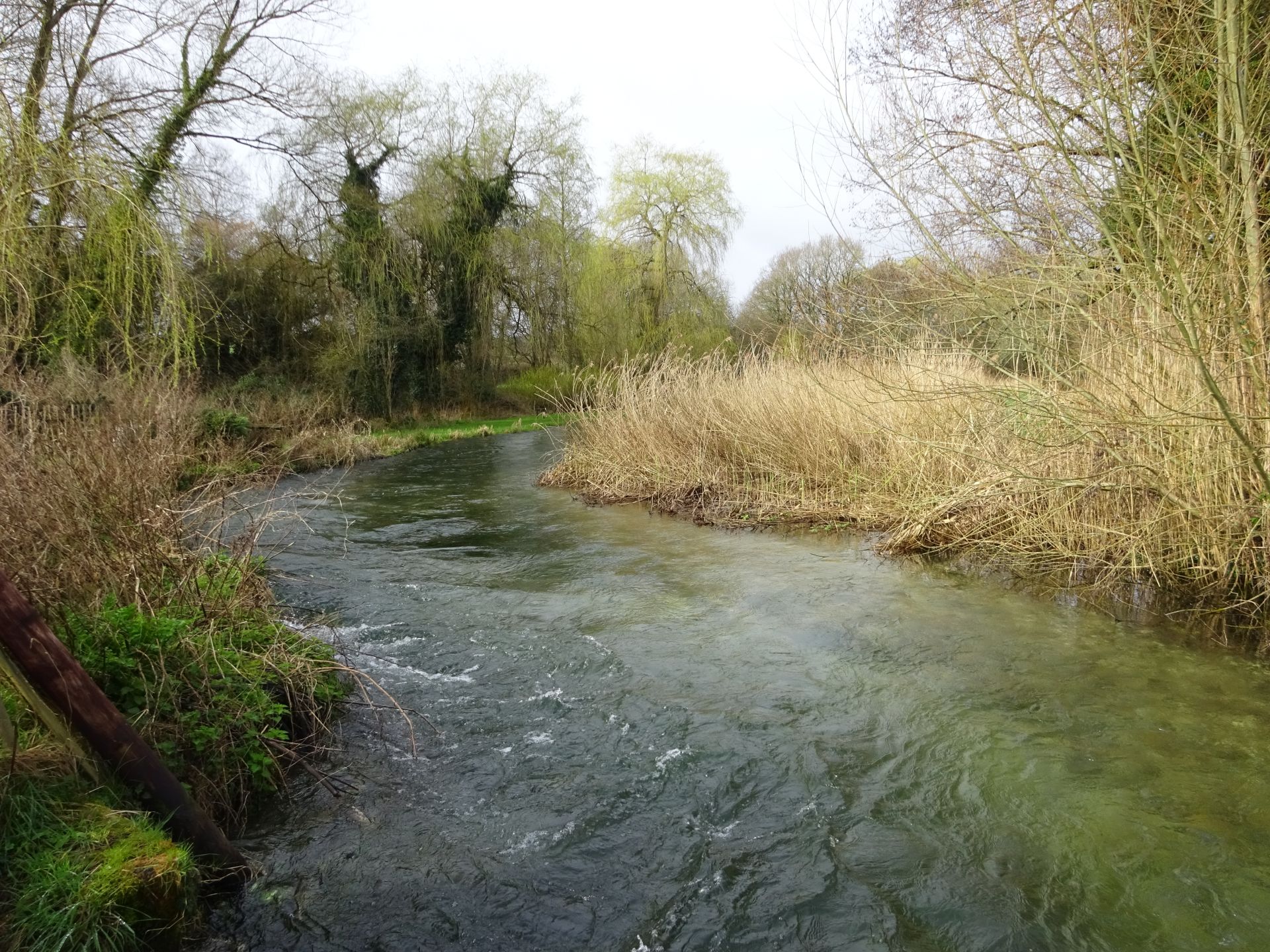 River Lambourn