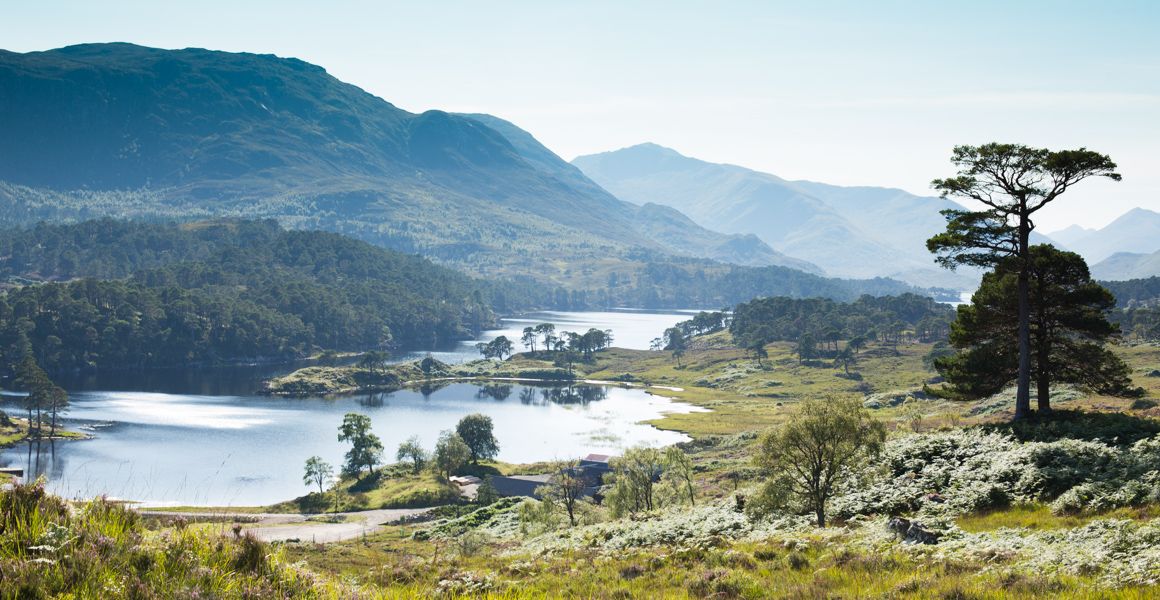 Glen Affric