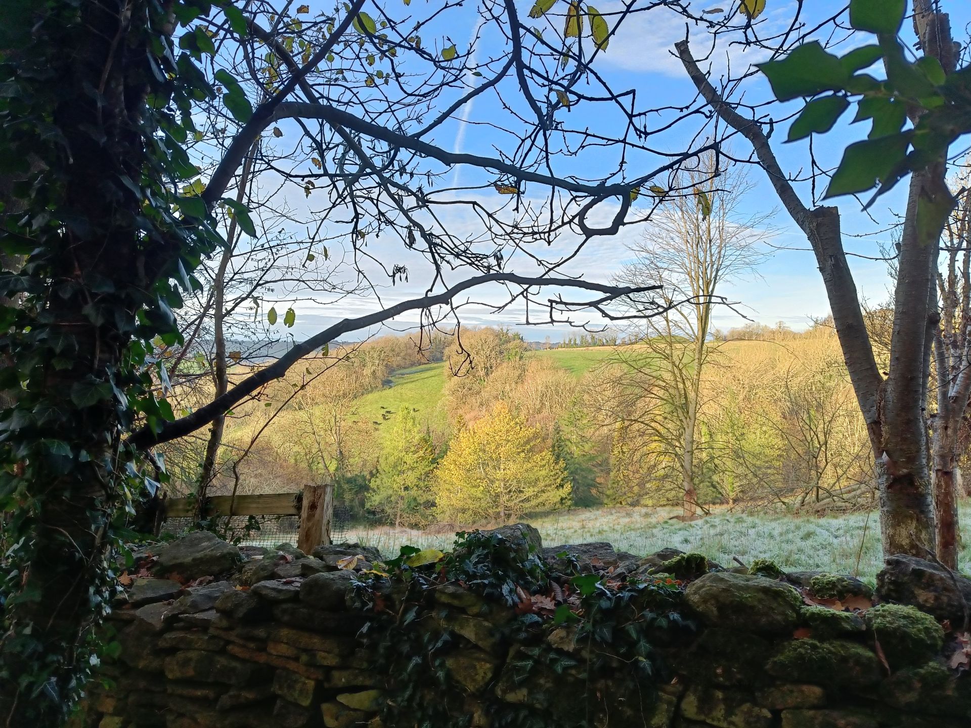 View  from Wyres Lane