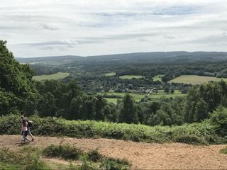 View from St Martha's