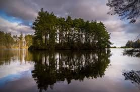 Looking across Beegraigs Loch