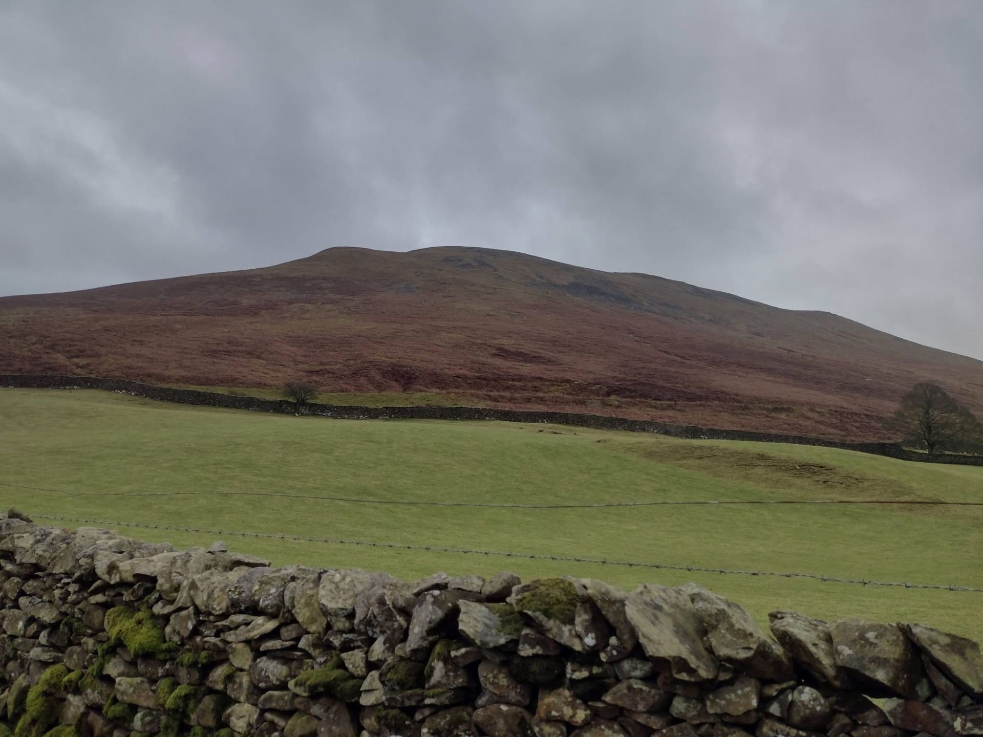 Barbon fell