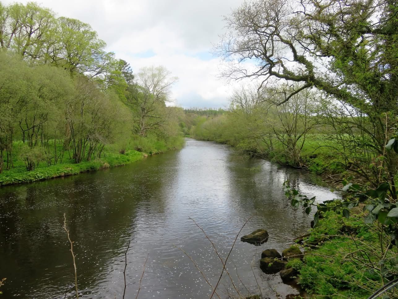 A river near Wray