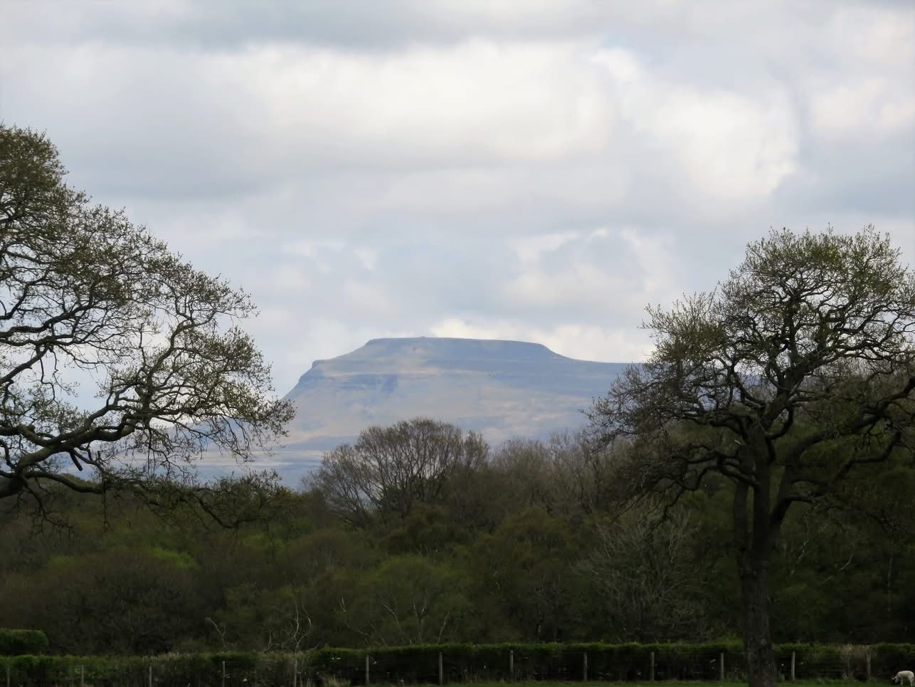 View of Ingleborough 