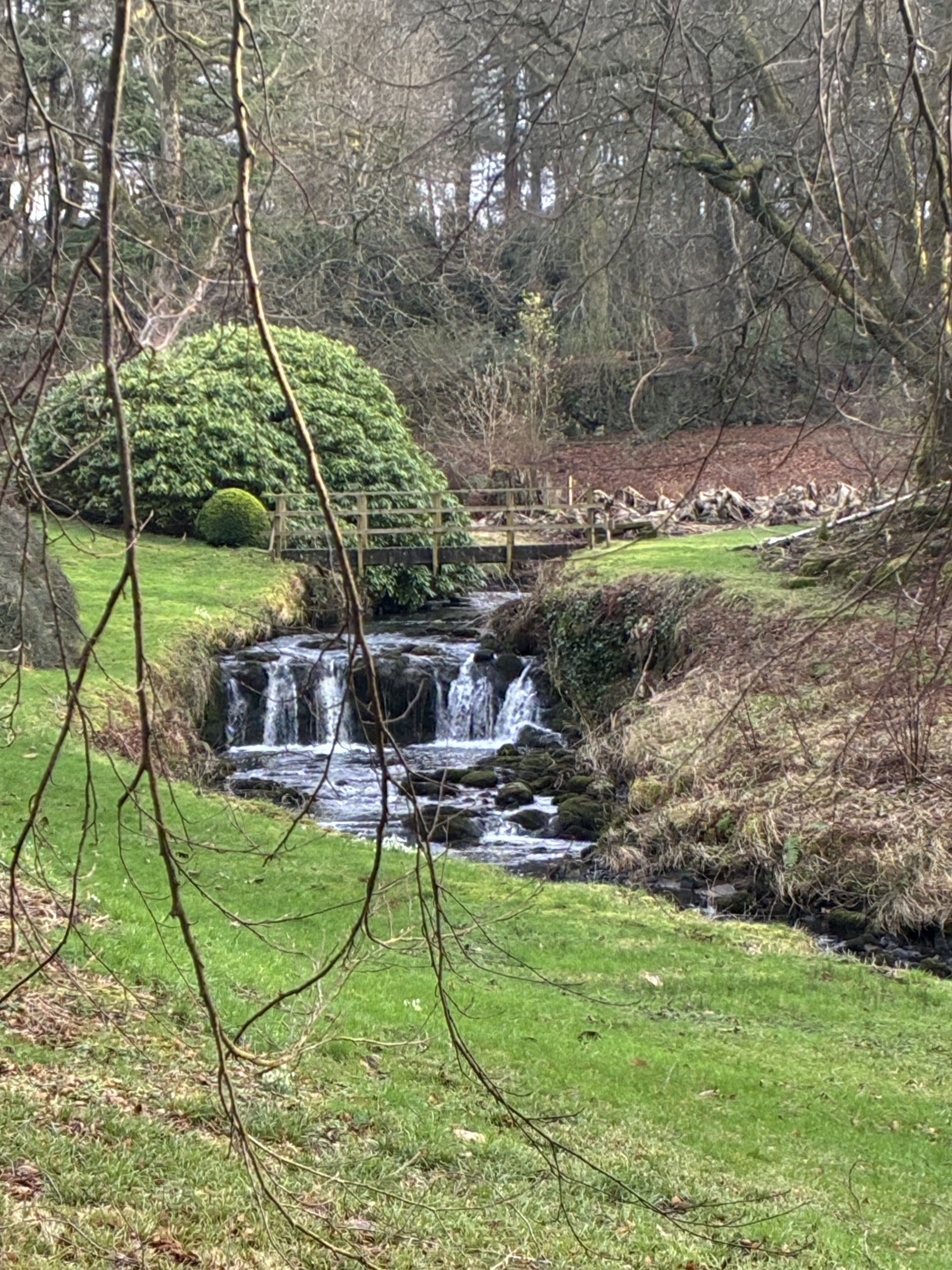 A small waterfall in the Bombo burn