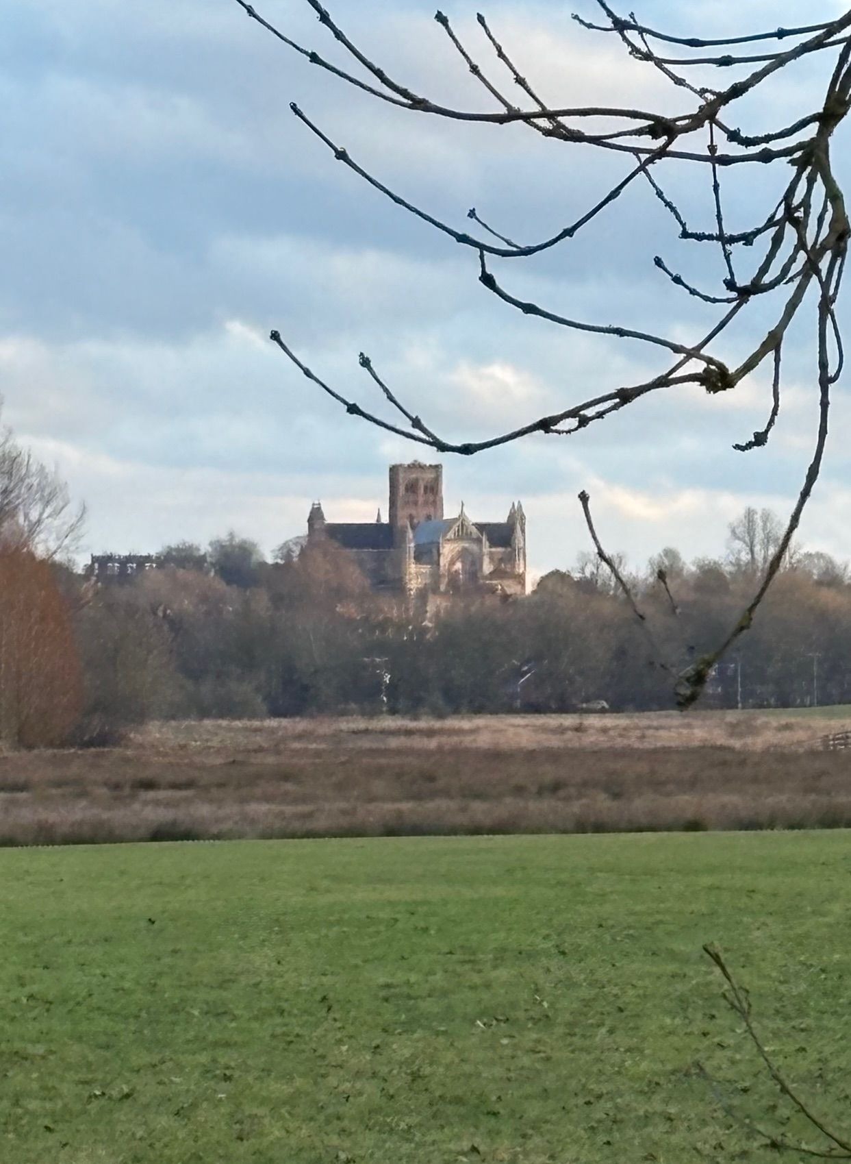St Albans 