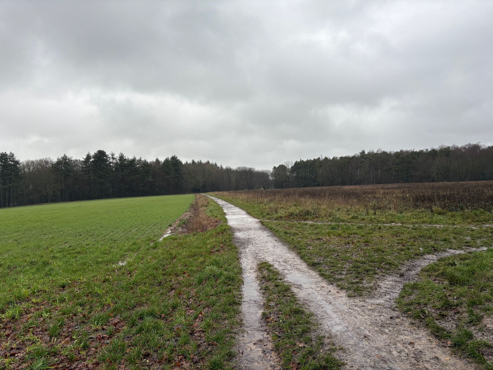 Childwickbury estate