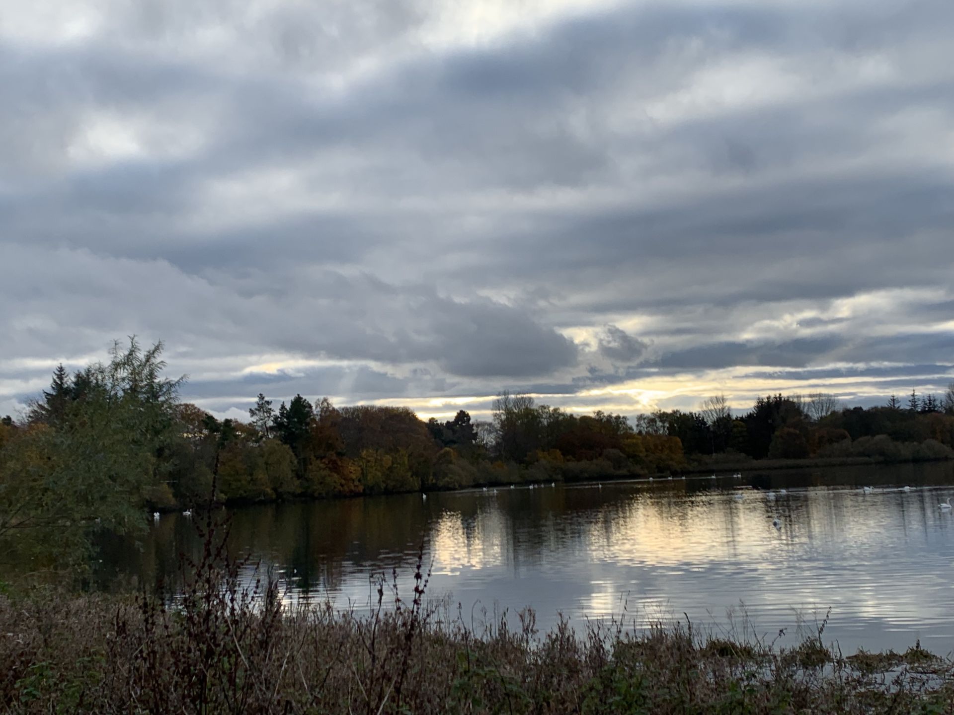 Winter view of Forfar loch
