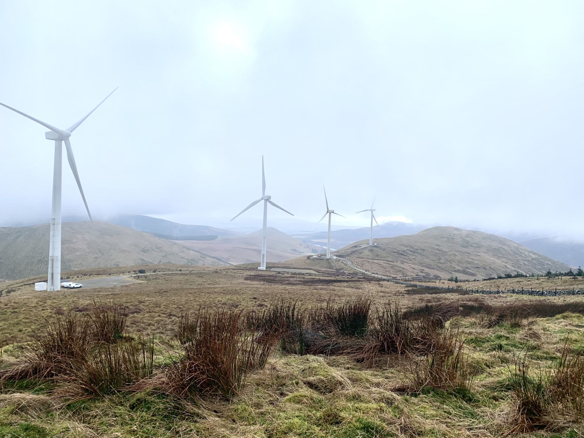 View of the turbines on Steeles Knowe