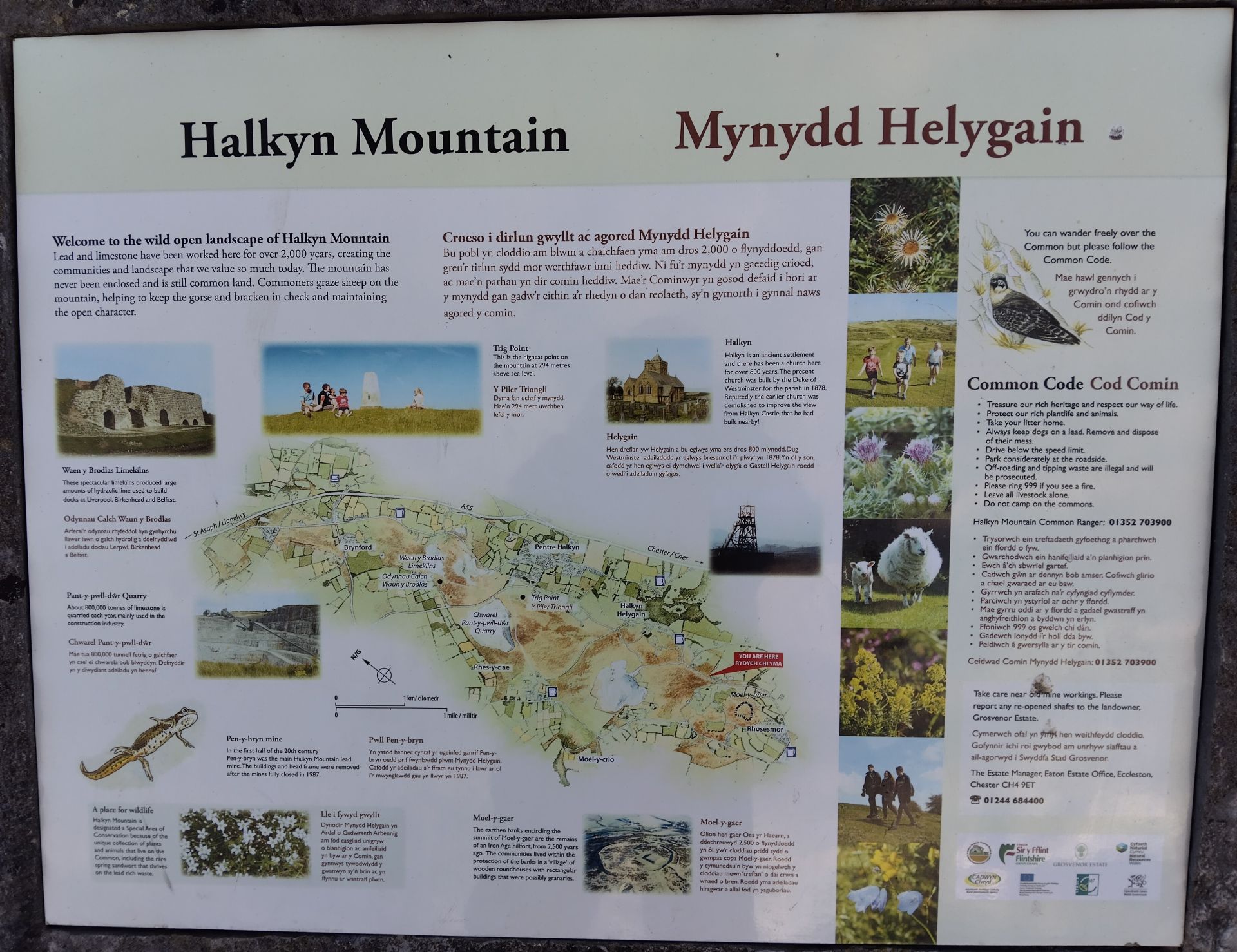 Information Board on Halkyn Mountain illustrating the history, flora and fauna to be found there.