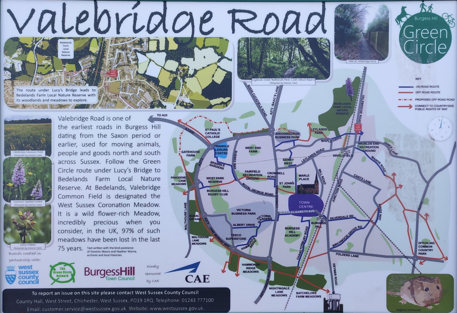 One of many interpretation boards