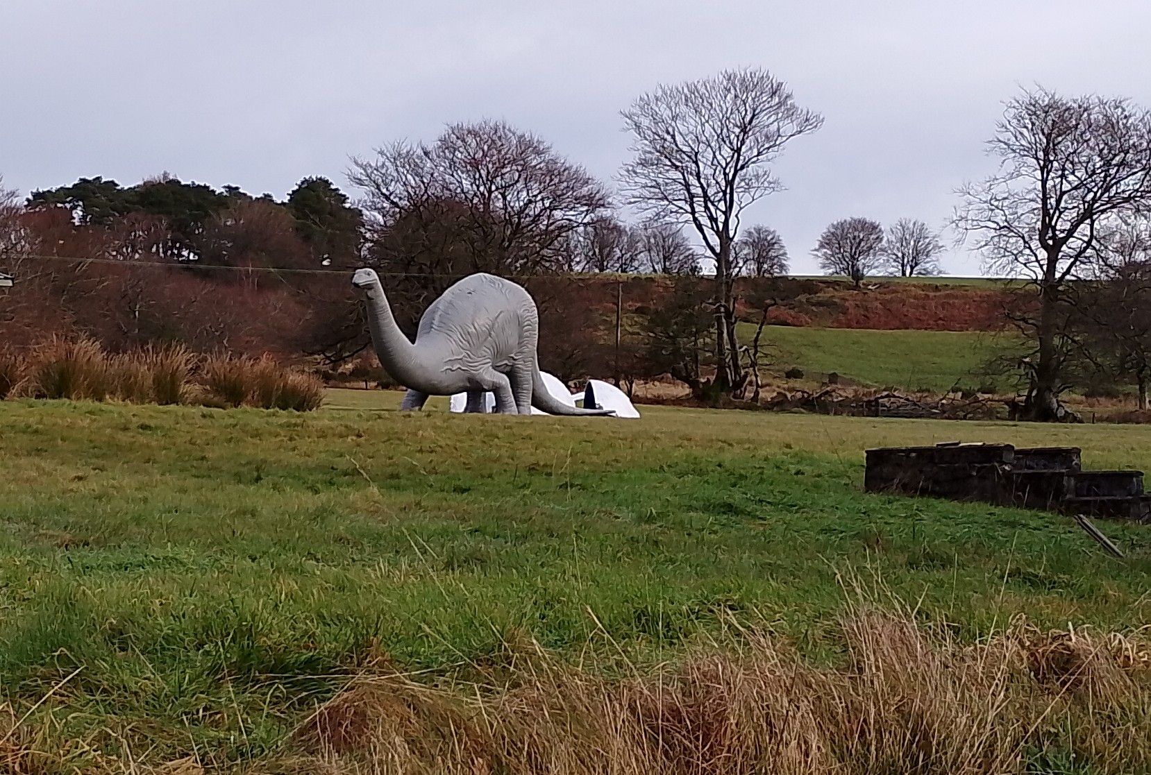 Farm scene with dinosaur