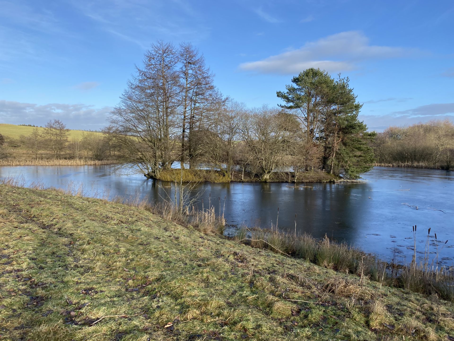 Don’t forget your ice-skates