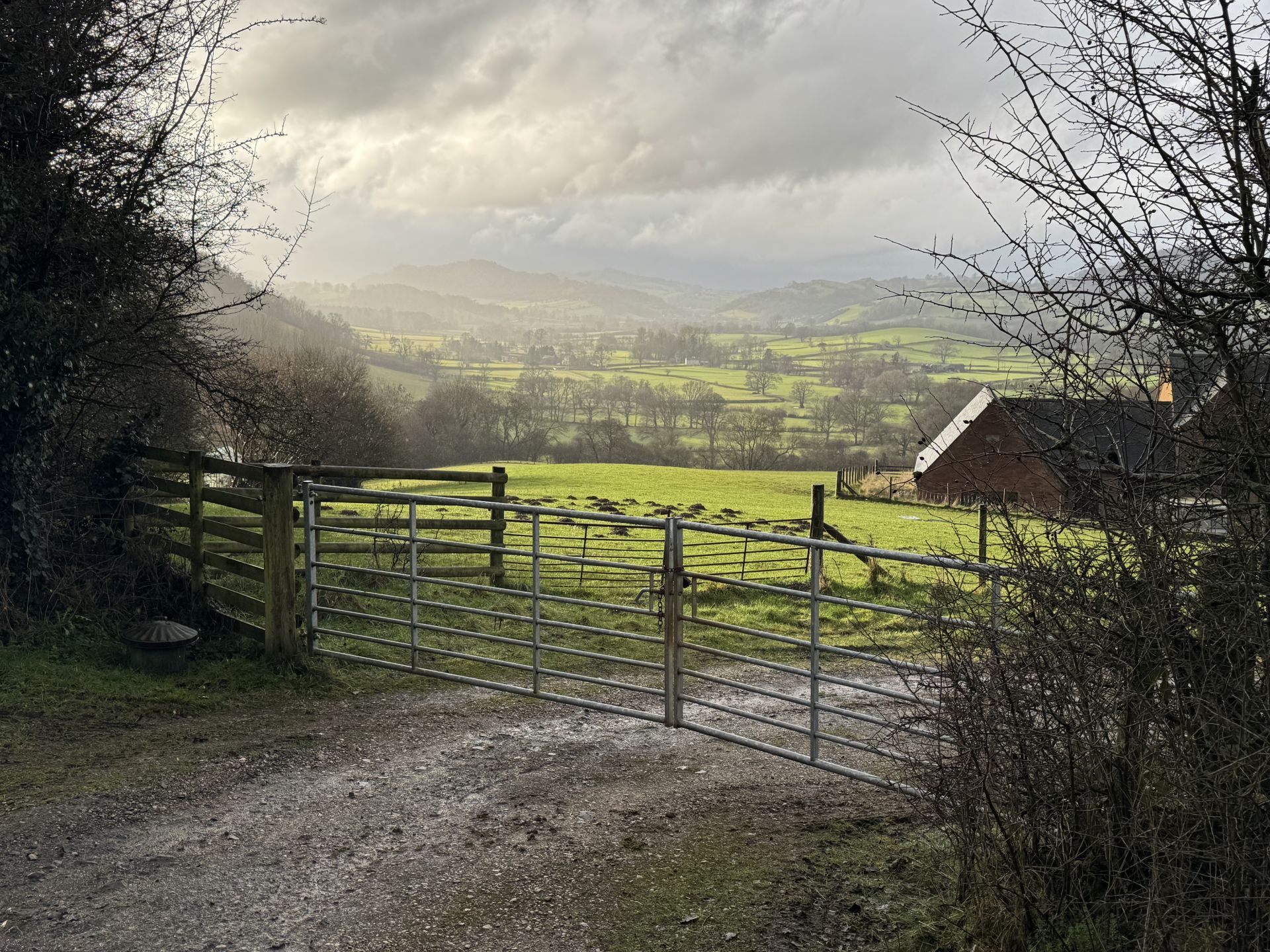 View from walk recce 23 January 2026