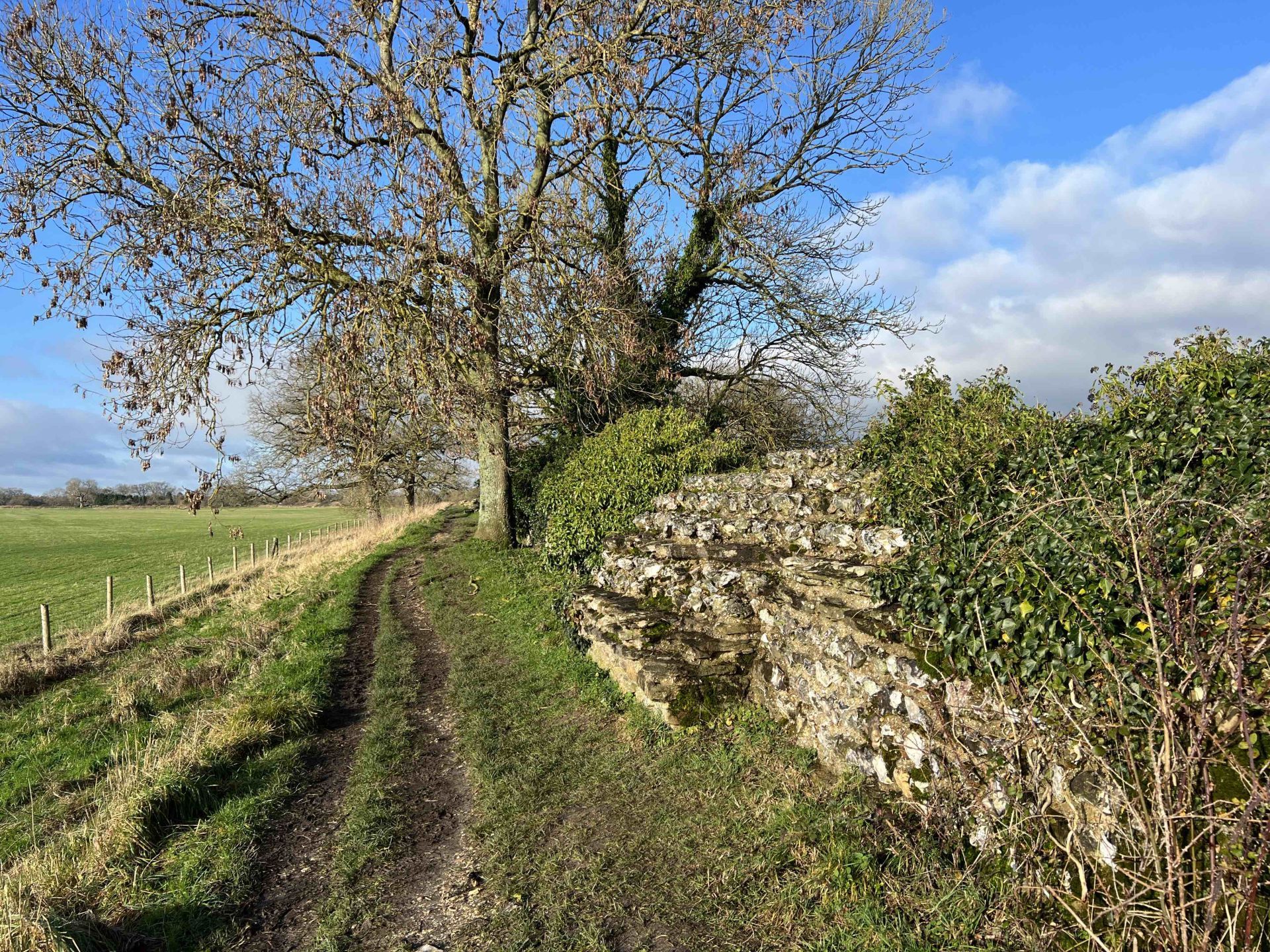 Part of the Roman wall