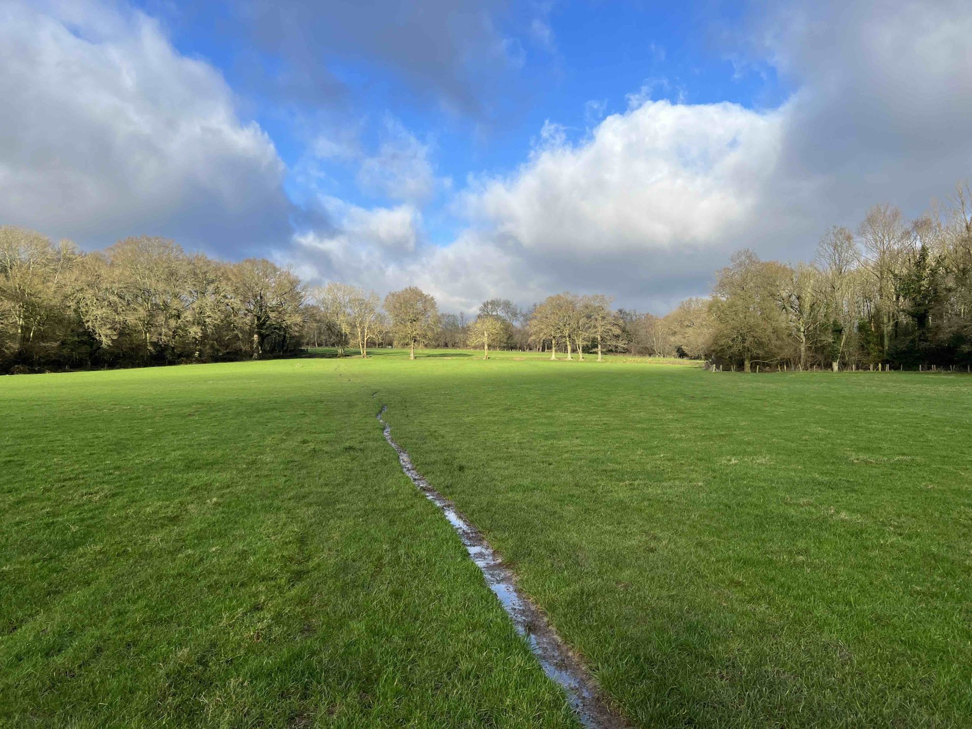 A field with a muddy path