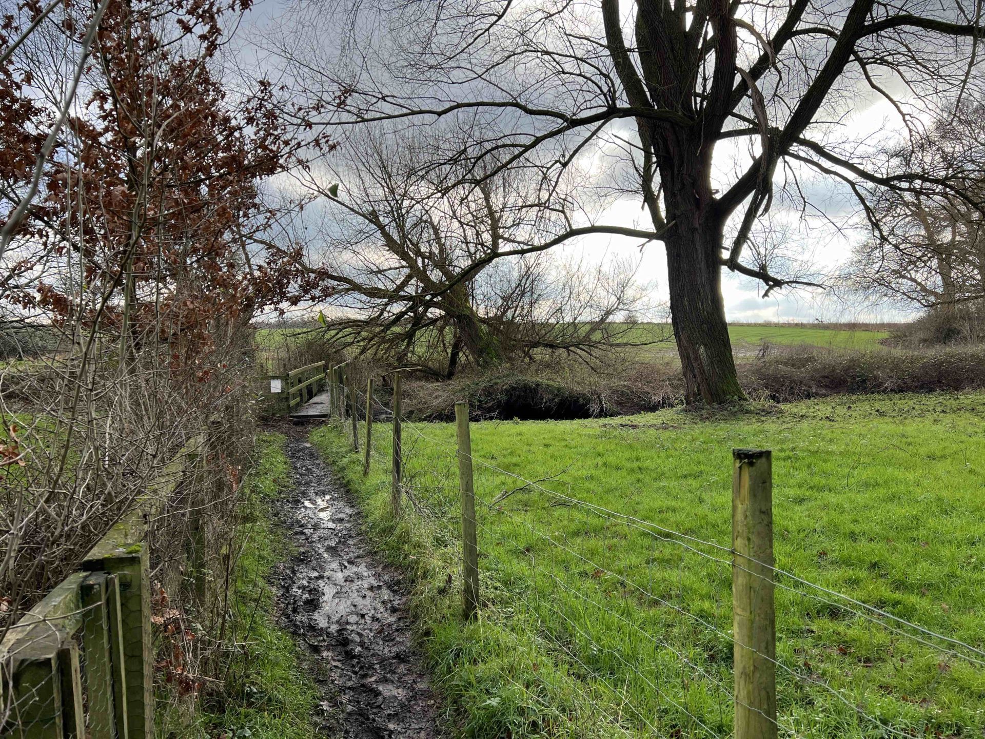 A muddy footpath 