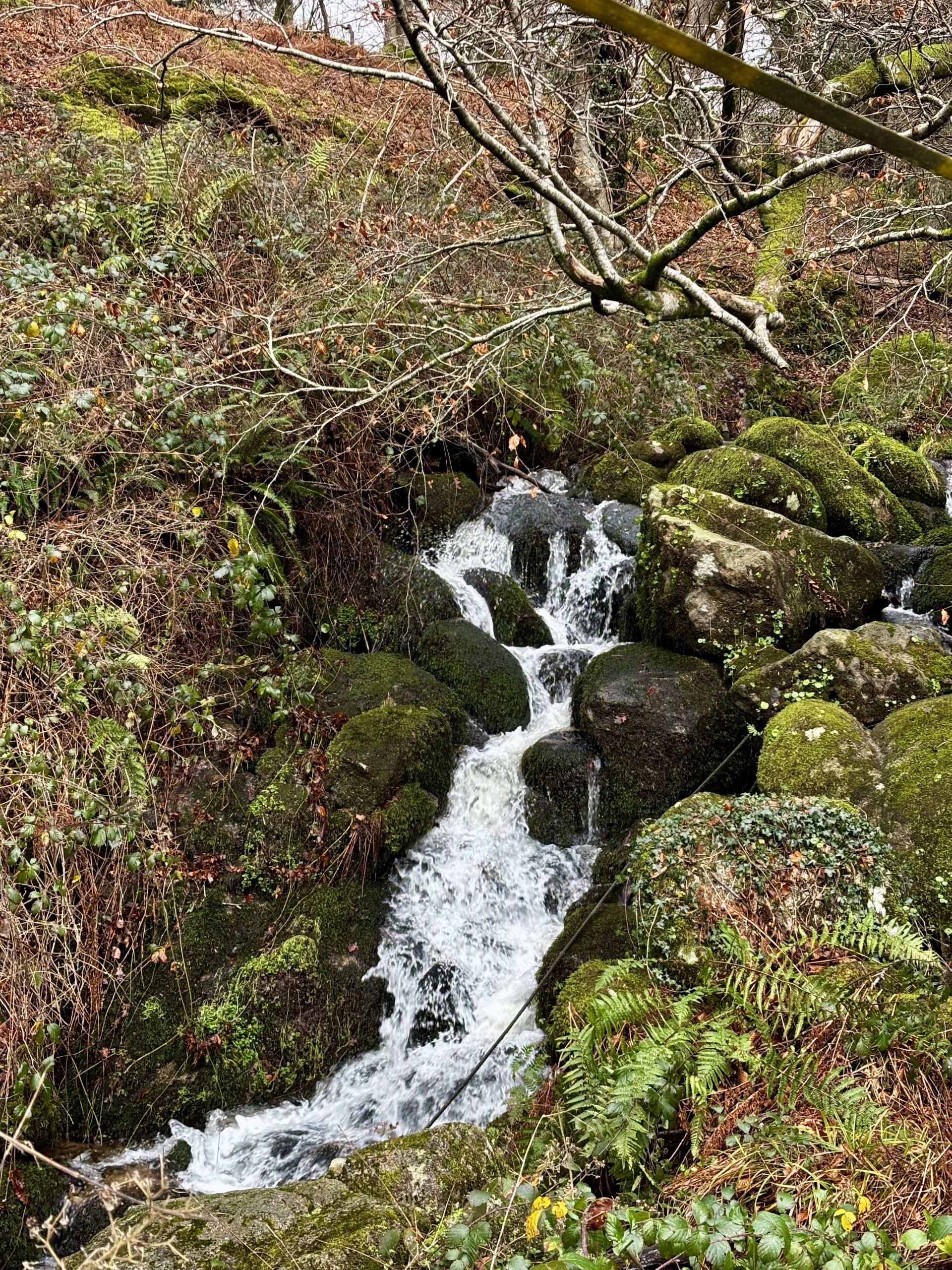 Small waterfall with mossy rocks on each side