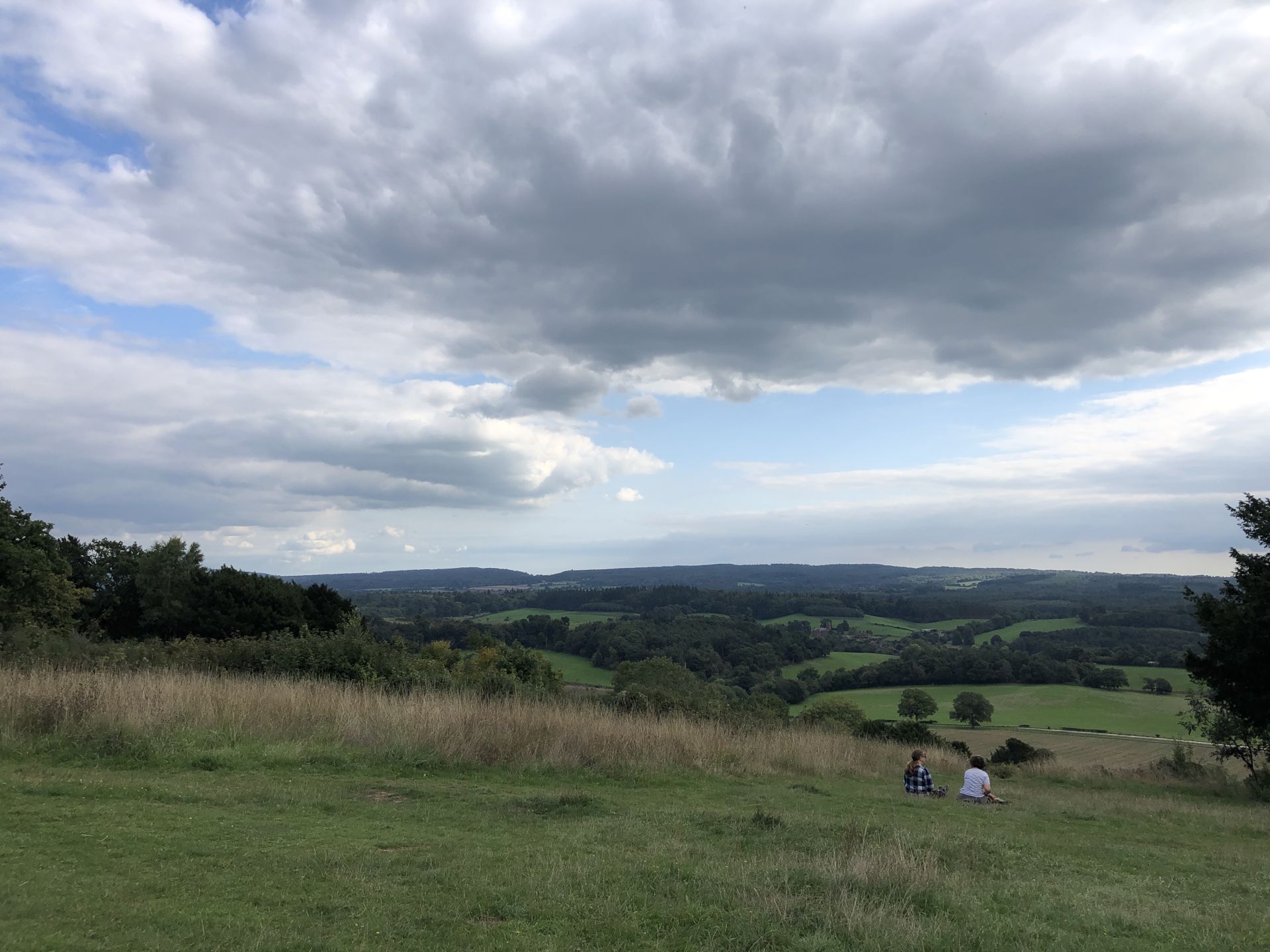 The view from Newlands Corner on a cloudy day