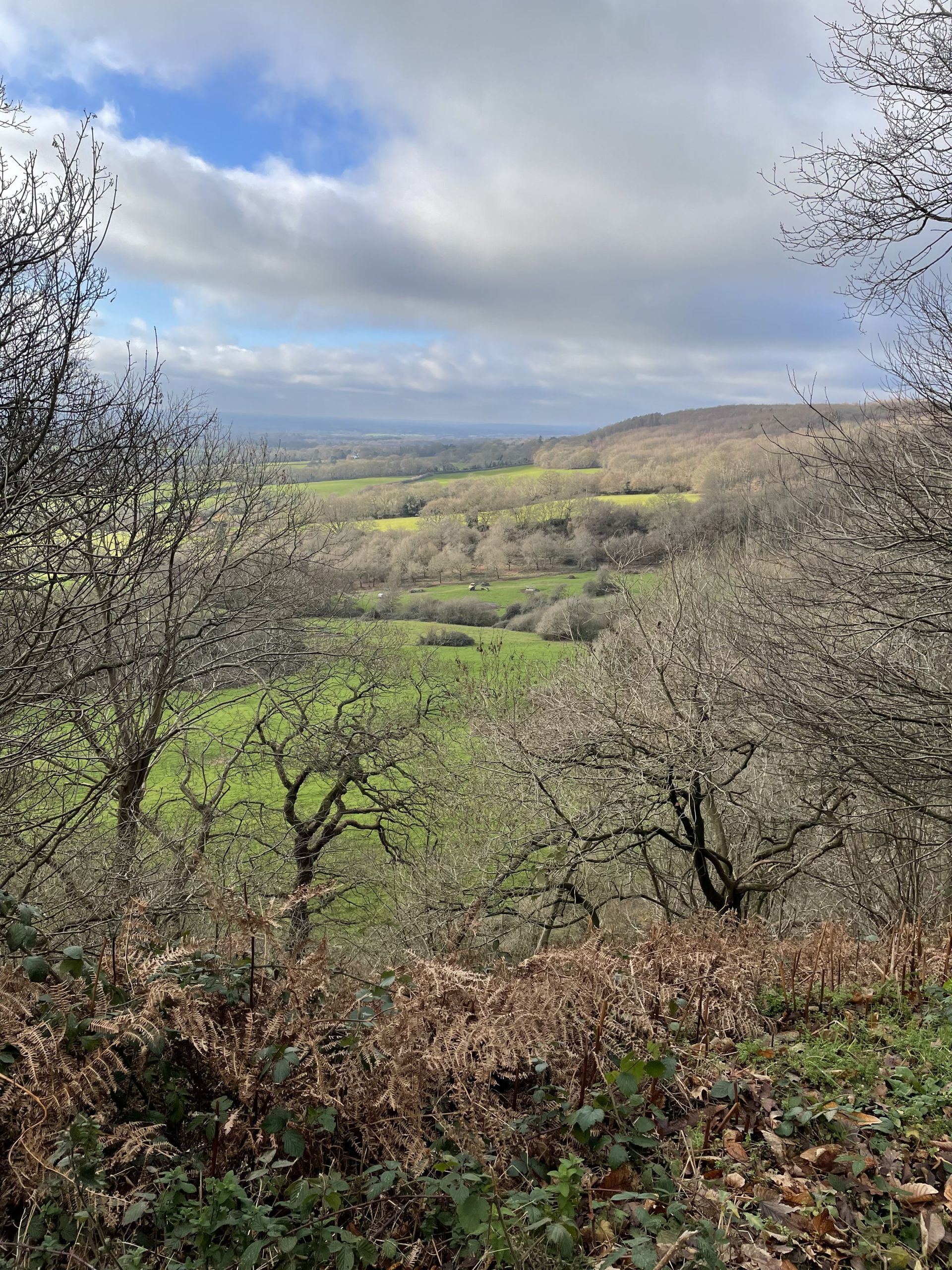 Greensand way