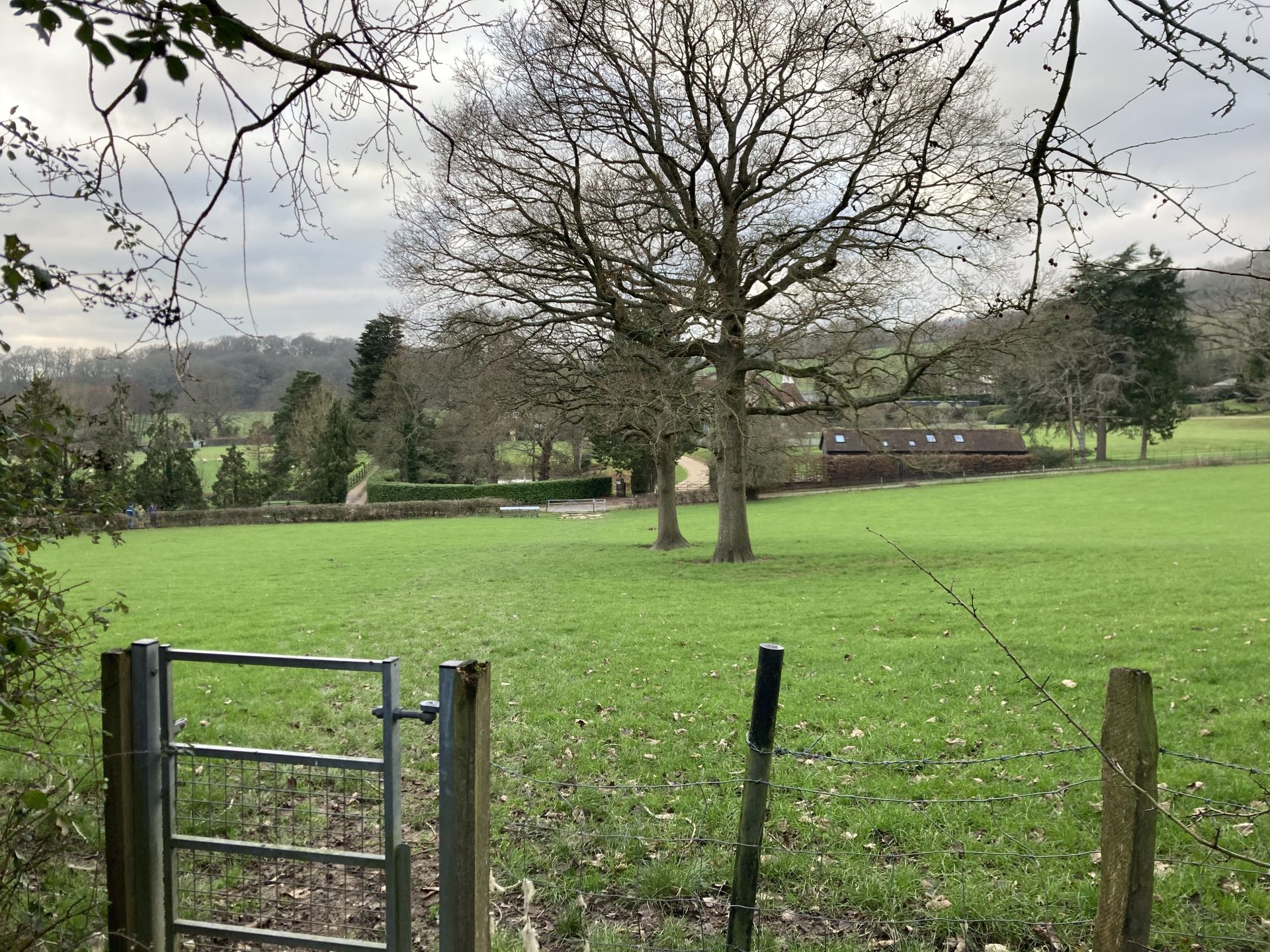 View from the Greensand Way