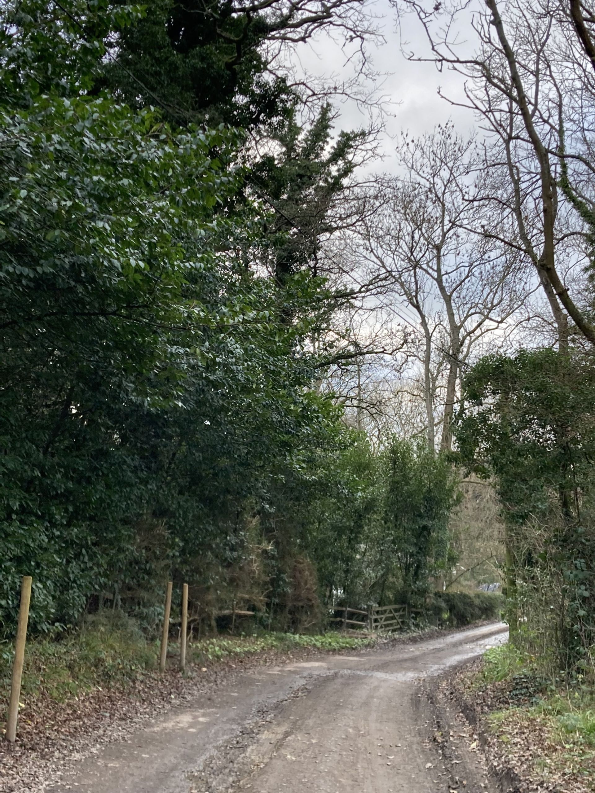The trackway back to the village