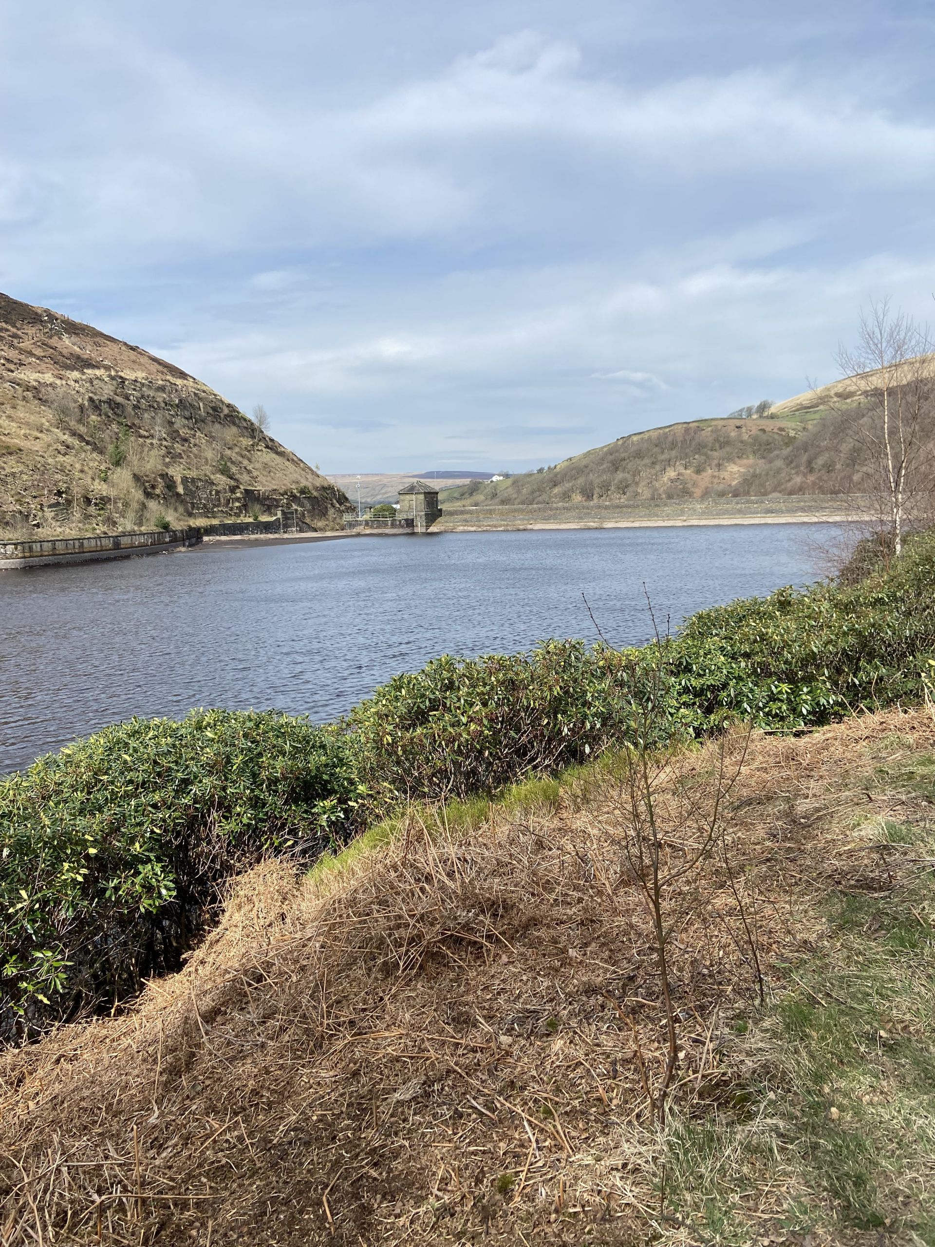 Overlooking reservoir