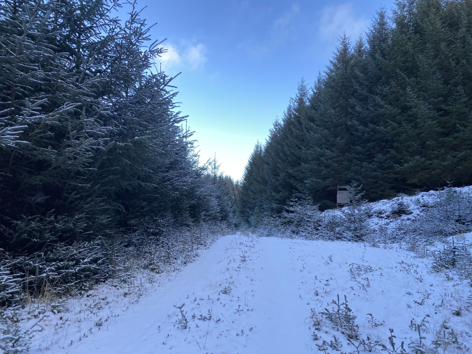 Birks and the Dun walk