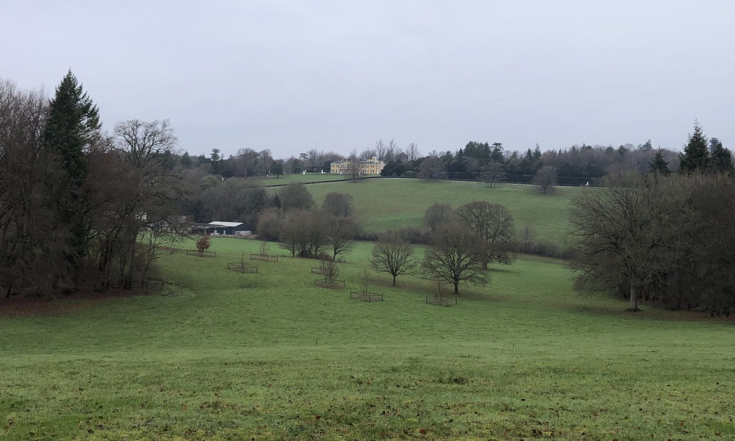 Distant view of Polesden Lacey