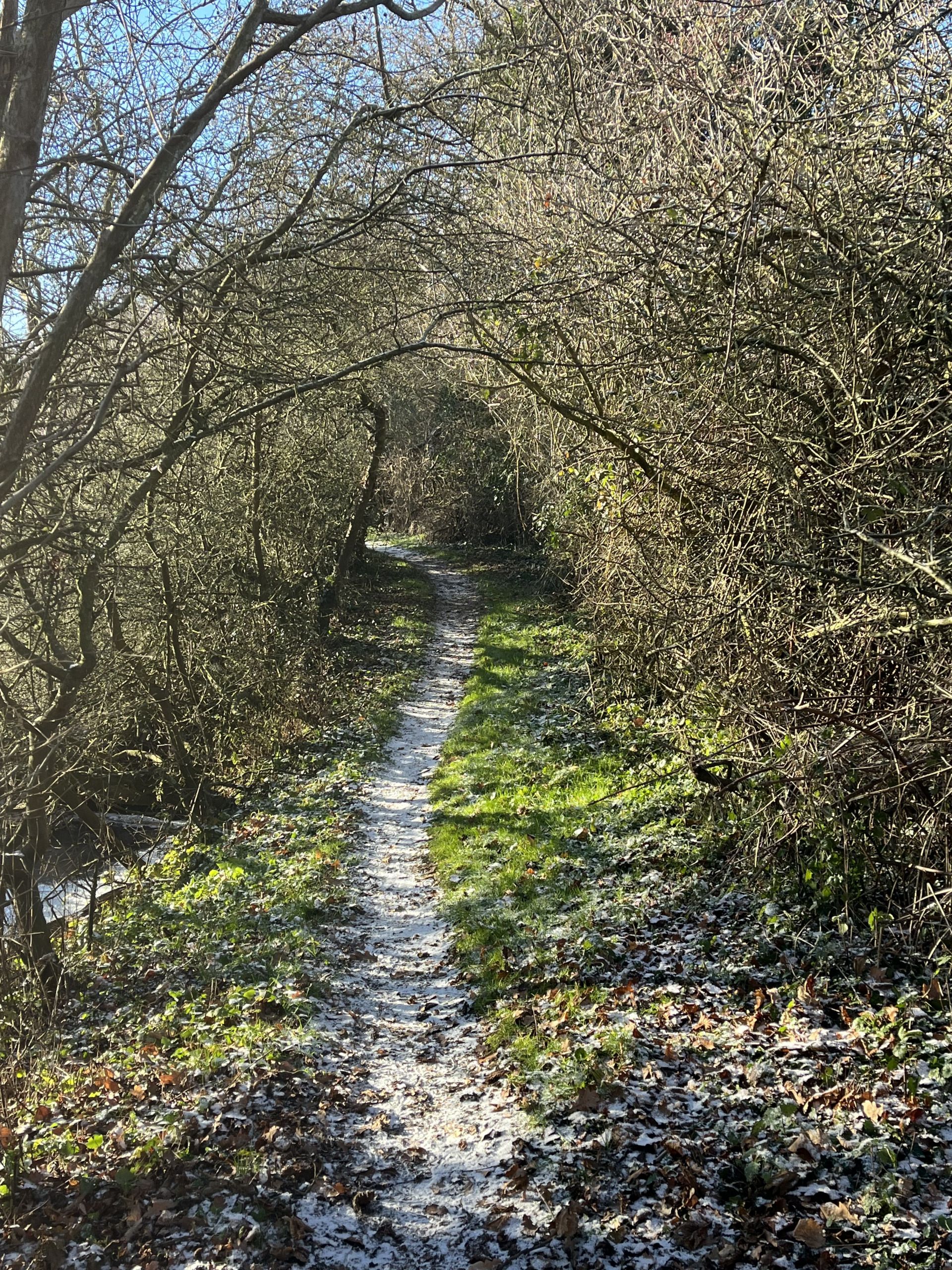 Footpath by Beane in Walkern
