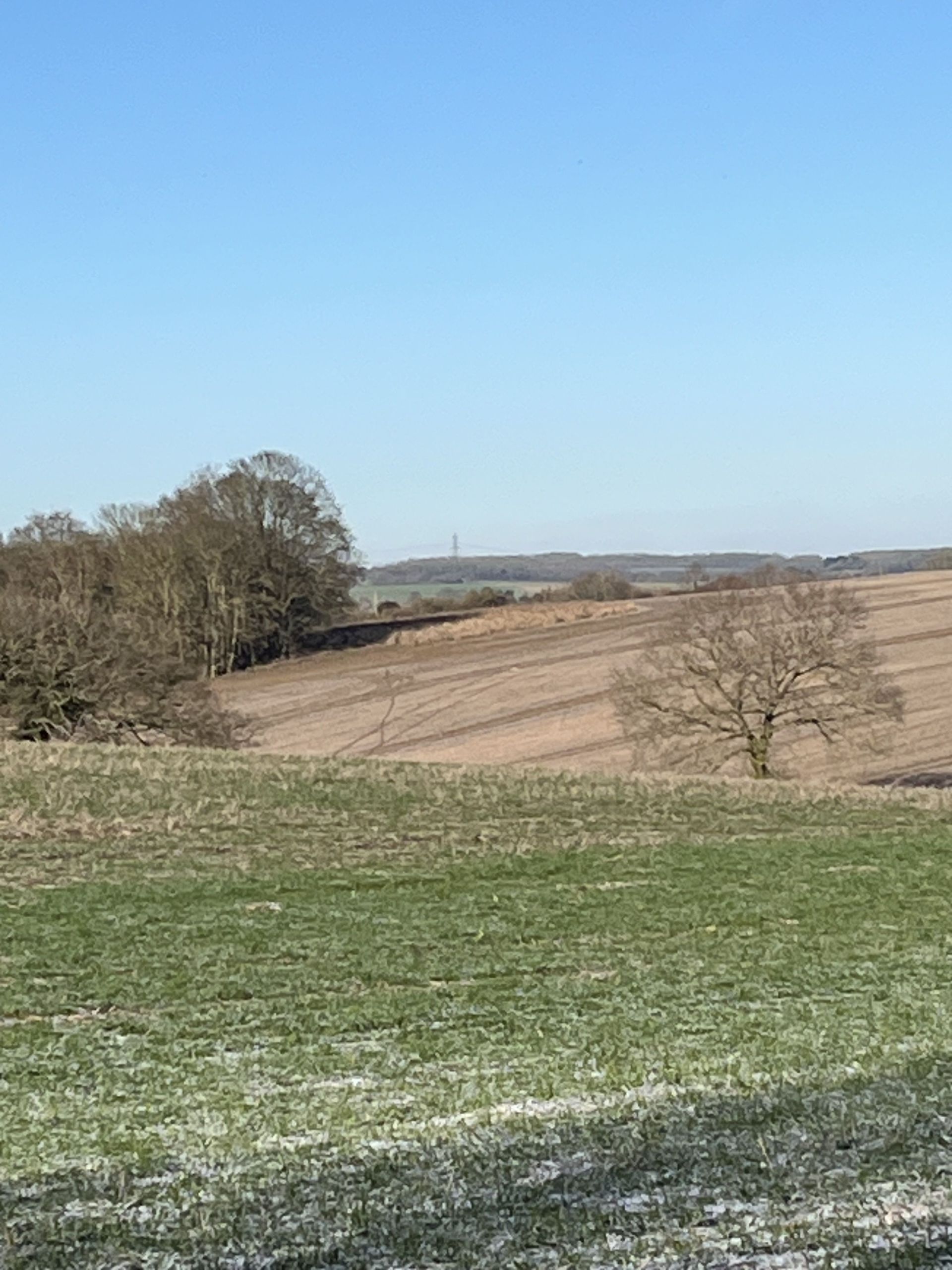 Between Bennington and Walkern