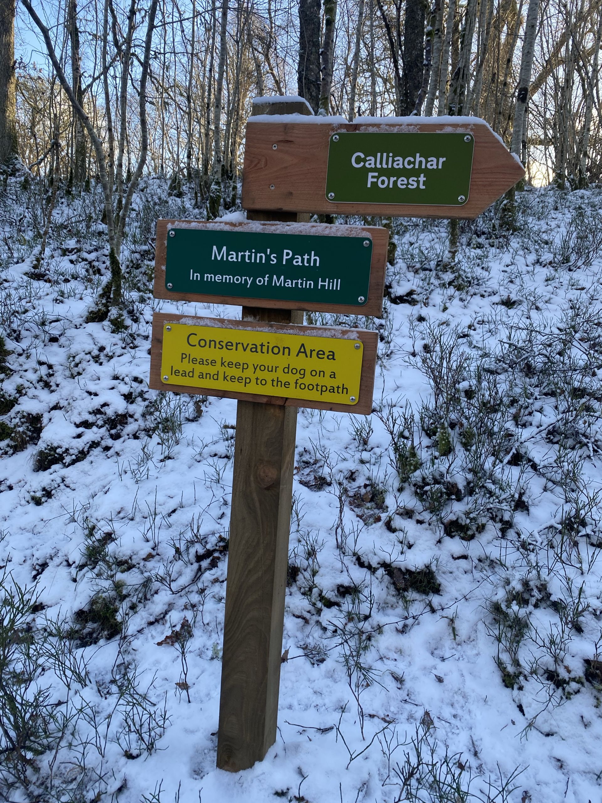 Birks and the Dun walk - Martin's Path