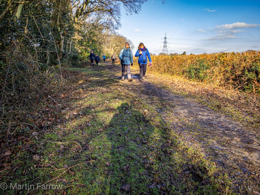 Ramblers walking along winter track