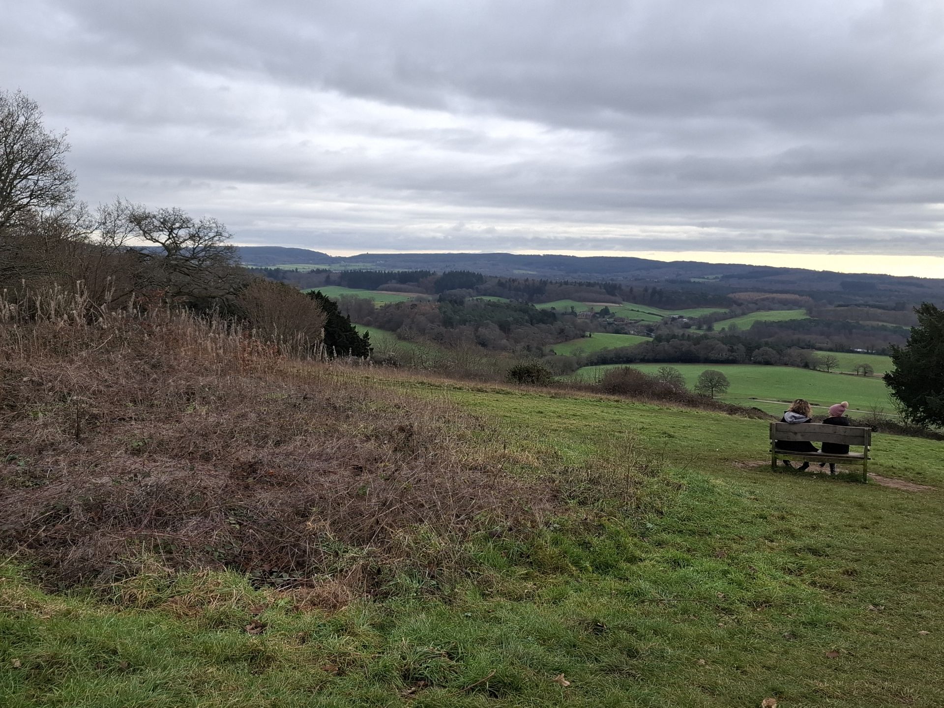 View from Newlands Corner