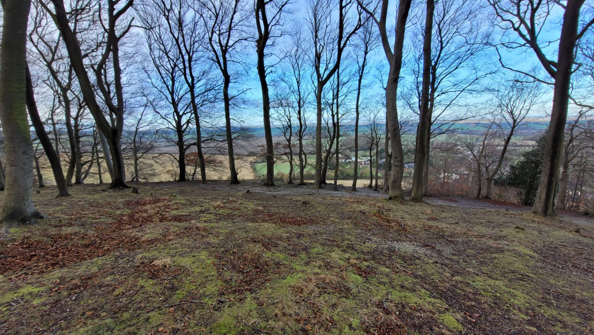 View from the woods on Sharpenhoe Clappers