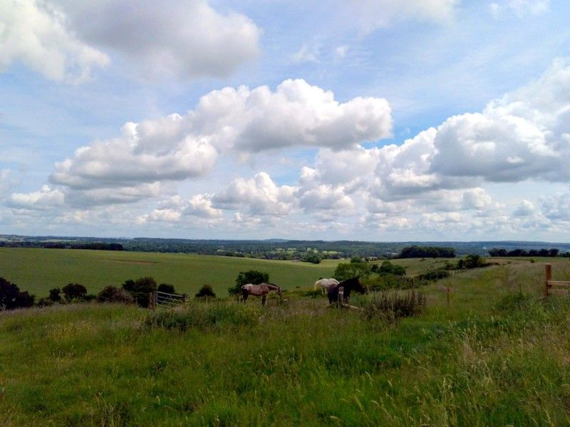 blue sky and clouds, green fields