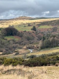 Dartmoor view