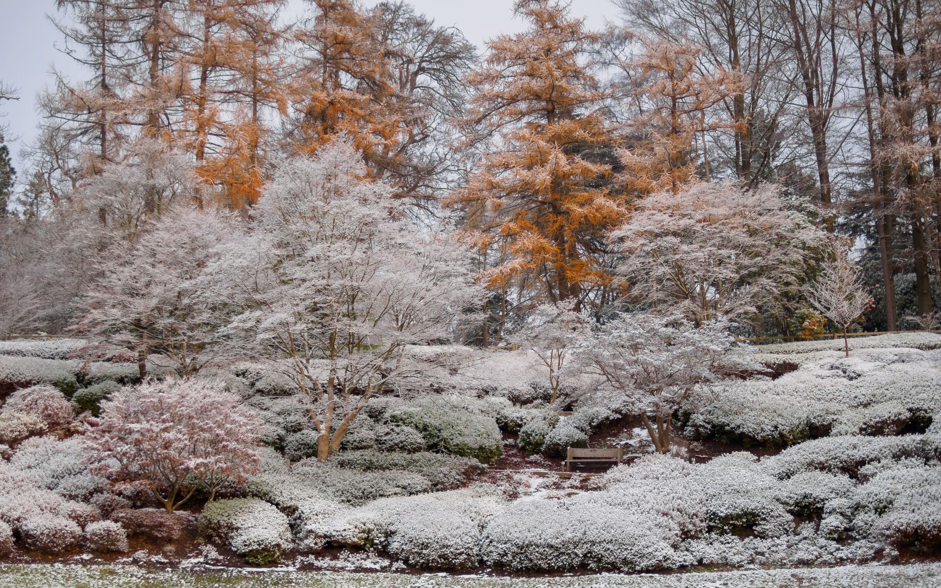 Punch bowl in winter