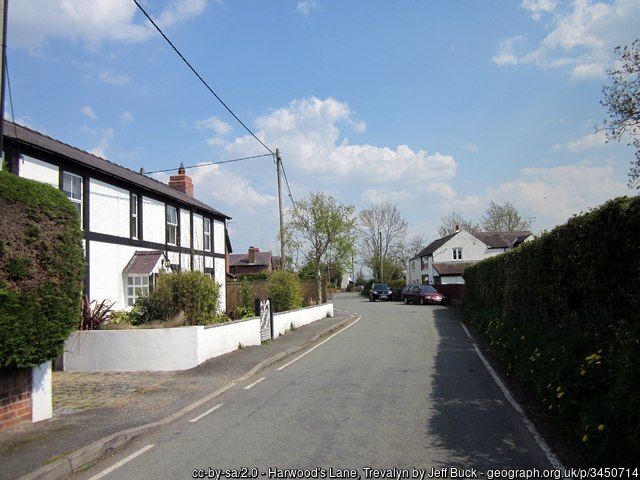 Looking down Harwood's Lane, Trevalyn nr Rossett, by Jeff Buck