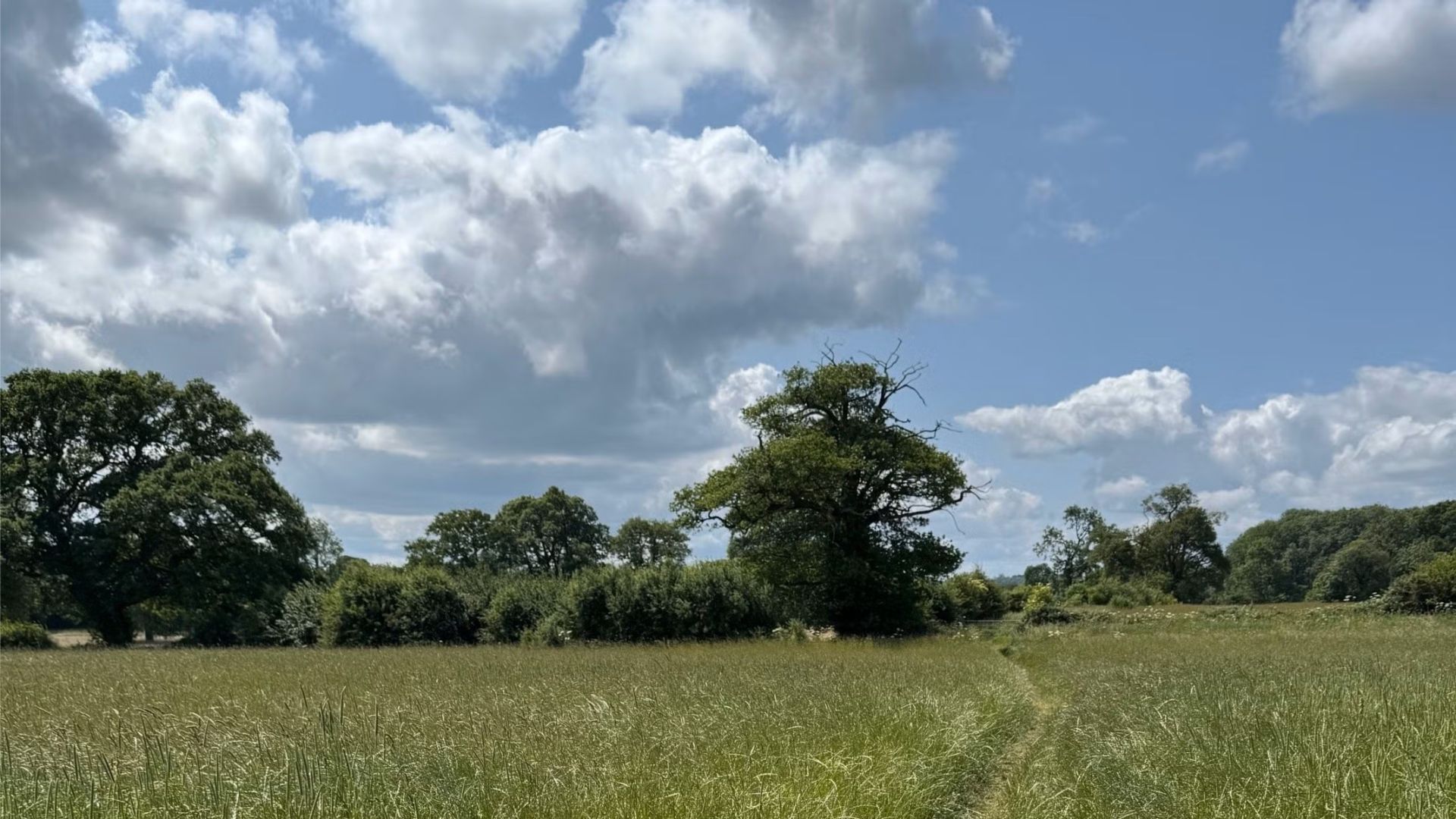 Photo of a field near Morton-in-Marsh