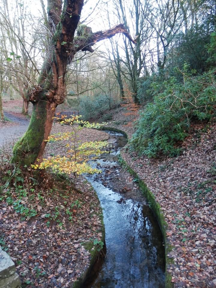 Prestwich Clough