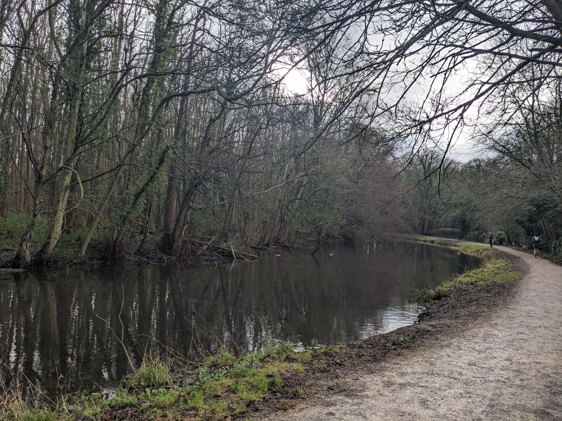 Grand Union canal in winter, its a bit muddy but still beautiful