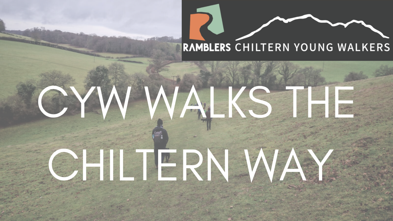 a banner showing people walking the chiltern way with the words "CYW Walks the Chiltern  Way" on top and the Ramblers and CYW  logo