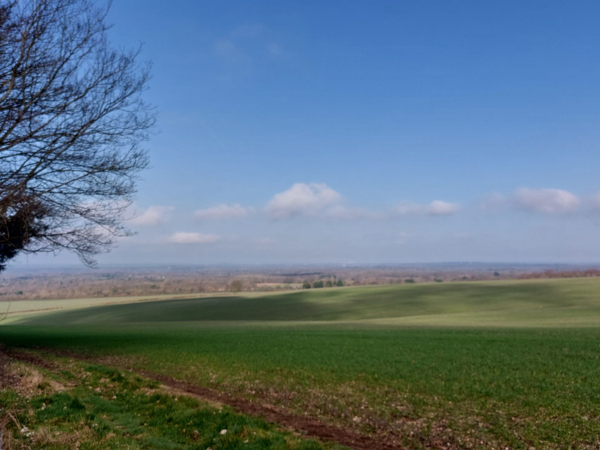 A view south of East Clandon looking towards Staple Lane