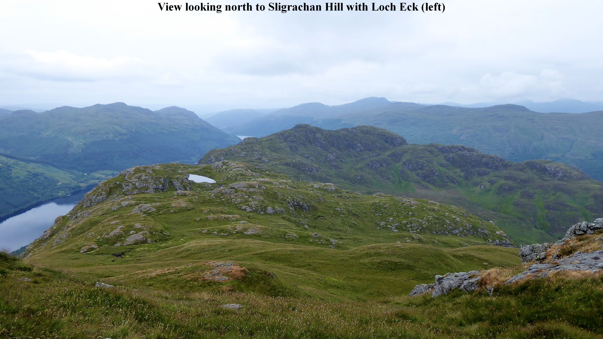 View of Sligrachan Hill and Loch Eck from Beinn Ruadh.